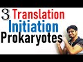 Translation initiation | Translation in prokaryotes lecture 3