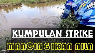 KOMPILASI STRIKE MANCING IKAN NILA || TILAPIA FISHING COMPILATION