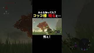 お告げのコッコ様がキレると...#ゼルダの伝説ティアーズオブザキングダム  #ゲーム実況  #ゼル伝 #zelda #ゲーム #ティアキン