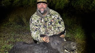 DNT ZULUS SCOPE / Florida TROPHY HOG Hunt BIG HOG DOWN! Night Vision Hog Hunting!