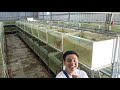 Crazy Discus farm.