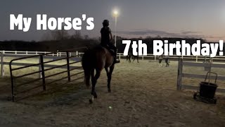 MY HORSE’S SEVENTH BIRTHDAY!! *cake, party, decorations, no stirrups ride*