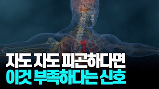 자도 자도 피곤하다면 이것 부족하다는 치명적인 신호입니다