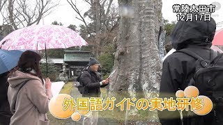 商店街でガイドの実地研修【いばキラニュース】R1.12.19