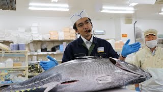 生本まぐろ解体ショー　アピタ特別感謝デー☆茨城県稲敷市２０１７．６．３