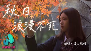 是二智呀 - 秋日浪漫不死 shi er zhi ya - qiu ri lang man bu si | Pinyin Lyrics【AWALK MUSIC】