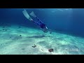 snorkeling in an uninhabited island of iriomote hatopanari okinawa 2021