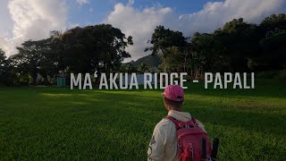 2024 12 24 Maʻakua Ridge   Papali Clearing