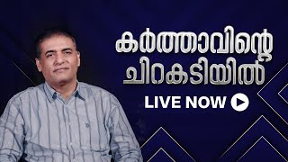 സ്വയമായി കായ്ക്കാനാകാത്തെ വെറും  'കൊമ്പുകൾ' നാം ! || Feb 12 ,2025