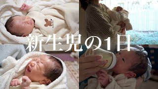 【新生児】1日ルーティン24時間密着/ 里帰り/ 新米ママ