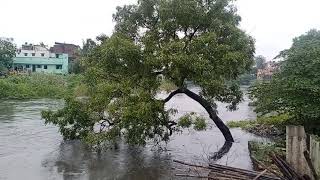 சென்னை கூவம் ஆறு  |  flood heavy rain flood | #flood