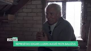 ReTV: Represētais Edgars Luzers audzē pasta baložus