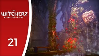 Roses of Remembrance - Let's Play The Witcher 2: Assassins of Kings #21