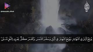 القران الكريم سورة فاطر  القارئ اسلام صبحي  تلاوة نادية هادئة