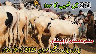 New Year 1st Mandi Mandra Mandi Rawalpindi Latest Update 1 January 2025 Domail K Fatehjangi Bulls