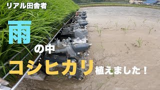 R5年度〜コシヒカリ田植え