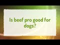 what is so bad about pedigree dog food