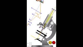 Working & Ray diagram for a compound microscope