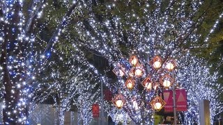 2016六本木ヒルズ アーテリジェントクリスマス　クリスマスイルミネーション点灯式、点灯の瞬間