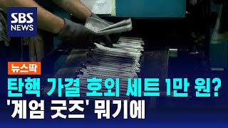 탄핵 가결 호외 세트 1만 원?…'계엄 굿즈' 뭐기에 / SBS / 뉴스딱