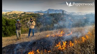 Cultural Burn at Pepperwood November 2024 | Interview with Clint McKay and Photo Slide Show