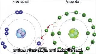 Dr  Eric Berg  GLUTATION, A MESTER ANTIOXIDÁNS