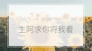 Berkeley唱诗人｜主阿求你将我看（诗311）