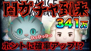 化け猫の呪い!?ホントに確率アップしてる？こんなに偏るのやめてくれよ...【ツムツム】