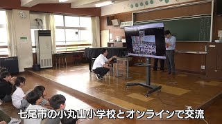 【被災地を元気づけたい】石川県七尾市で花火の打ち上げ提案　長岡市の小学生が募金活動へ 《新潟》