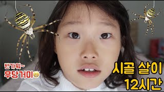 무당거미가 나타났어요😱😱😱 라임이네 시골 일상 브이로그 | 라면과 볶음밥 먹방 Noodles and fried rice muk-bang | LimeTube