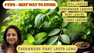 I DONT wash Curry leaves ??? Clean \u0026 Store Greens - Keep Them Fresh for Weeks!! #ramadanprep