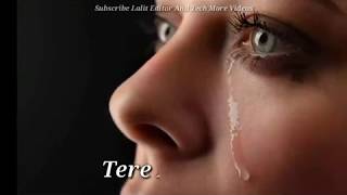 Tere Naam - super hit song in what's up status