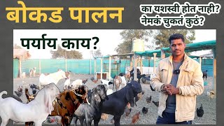 शेळीपालन करावं? की,बाजारातून बोकड आणून त्यांचं संगोपन करावं? ft Modern Farming