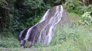 A TOUCH OF COVID 19 - DRIVE SAINT VINCENT AND THE GRENADINES