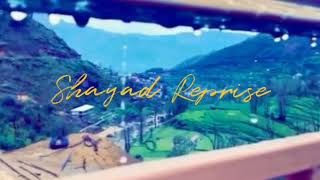 Shayad Reprise-Aditya Gandhi | Jubin Nautiyal | Film Version | Love Aaj Kal