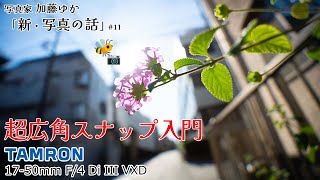 【A7CII】超広角ズームレンズ TAMRON17-50F4で撮るスナップ撮影 写真家加藤ゆか「新・写真の話」第11話【メンバーシップサンプル】