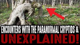 Encounters With Cryptids & The Unexplained - Volume #6