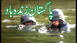 Har Ek Pakistani Ne Pukara Pakistan Army Song | Pakistan Nevy Day #pakistannevysong