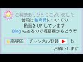 【ワンオク】３年ぶりのツアー・・・泣いた