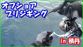 【釣り】2018積丹沖ブリジギングPart.4　～待望のブリキャッチ～