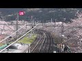 そうだ！ 桜を観に行こう！ jr阪和線 山中渓駅　ライブ配信 【マッツm】