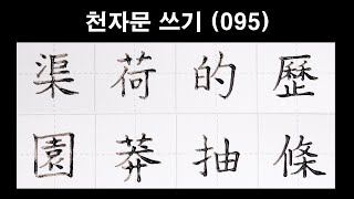 🦋천자문손글씨쓰기(095)딥펜으로 쓰는 한자[ 획순 ]渠荷的歷 園莽抽條(거하적력 원망추조)/千字文/Thousand character classic/Chinese/천자문 펜글씨