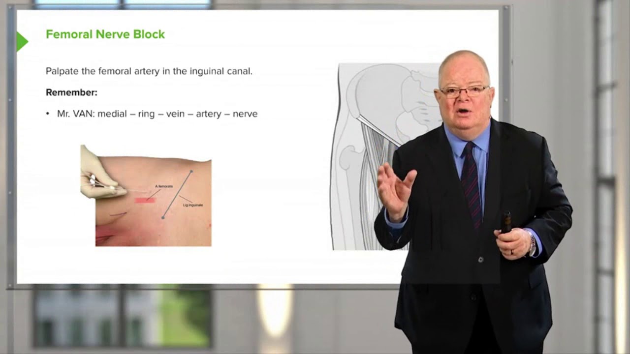 Lower Limb Blocks – Other Limb Blocks And Intravenous Regional ...