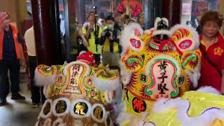 香港譚公誕2023 - 十多醒獅齊拜譚公、入廟出廟全過程。More than 10 Lions celebrating, bowing and entering Tam Kung temple!