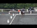 第60回東都学生馬術大会　新人馬場馬術競技　1年　砂川成弘　桜莉