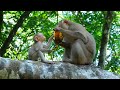 mom and baby with mango he is flora florin💐🌷🌹