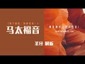 马太福音（第11章）耶稣的样子，心里柔和谦卑 命定神学 查经系列