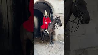 BEAUTIFUL HORSE ON DUTY - HORSE GUARDS #shorts