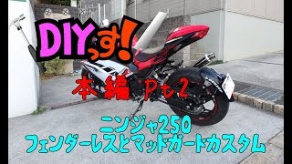 DIYっす! ニンジャ250 フェンダーレスとマッドガードカスタム！本編Pt2