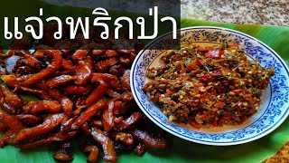 #แจ่วพริกแบบบ้านๆ​ #แจ่วพริกป่า​ #น้ำพริกขี้กาแบบบ้านๆ​ Aroijung​ by​ อ้อ​ยอิง​เขา​